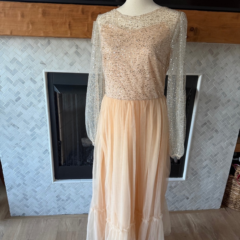 Sparkly Maxi Dress